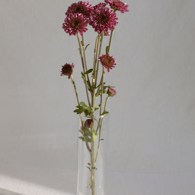 Orchid Slotted Pot